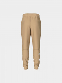 Брюки The North Face модель NF0A7Z9PLK51 Фото