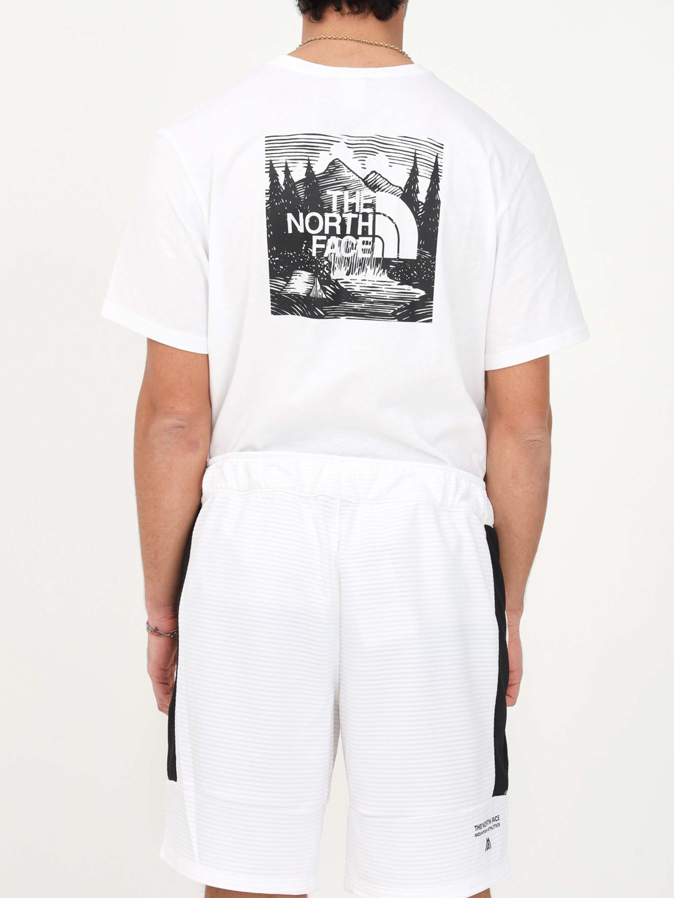 Шорты The North Face модель NF0A823OLA91 Фото
