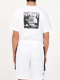 Шорты The North Face модель NF0A823OLA91 Фото