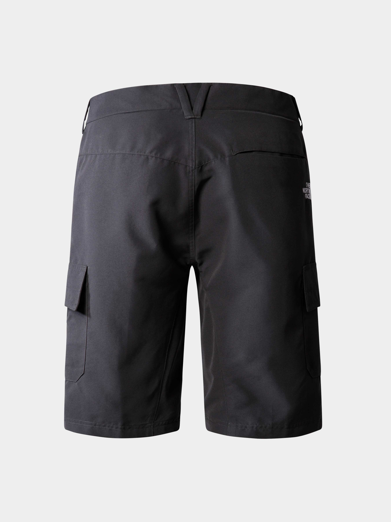 Шорты The North Face модель NF0A824D0C51 Фото