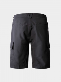 Шорты The North Face модель NF0A824D0C51 Фото