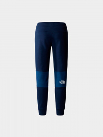 Брюки The North Face модель NF0A82DS96P1 Фото