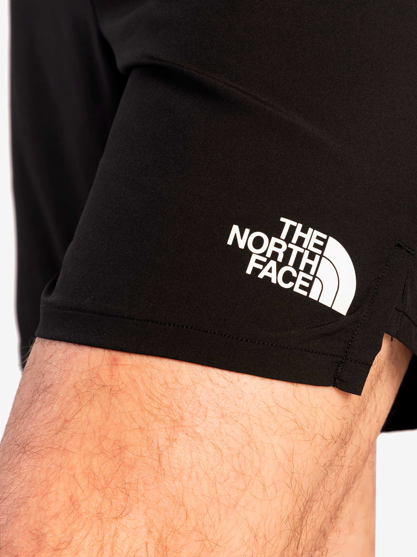 Шорты The North Face модель NF0A8316JK31 Фото