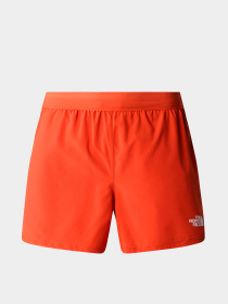 Шорты The North Face модель NF0A8316LV41 Фото