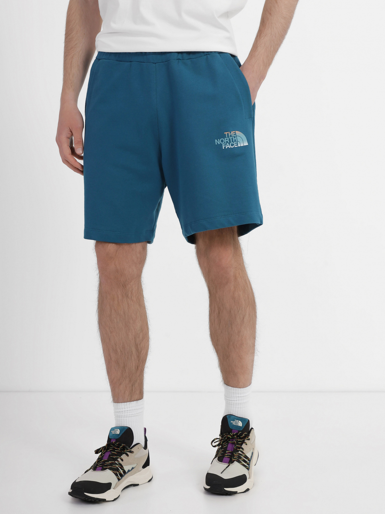 Шорты The North Face модель NF0A83FREFS1 Фото