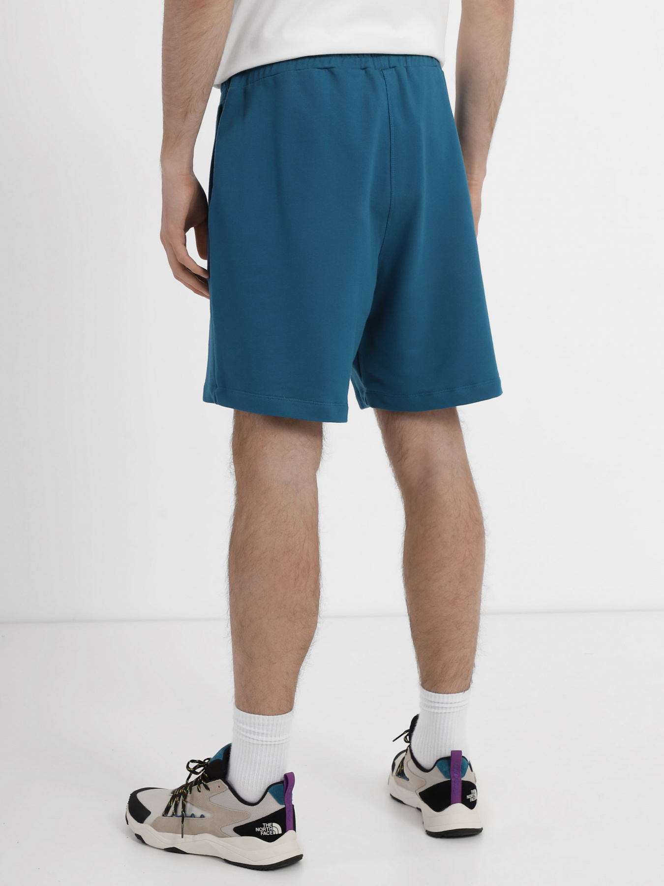Шорты The North Face модель NF0A83FREFS1 Фото
