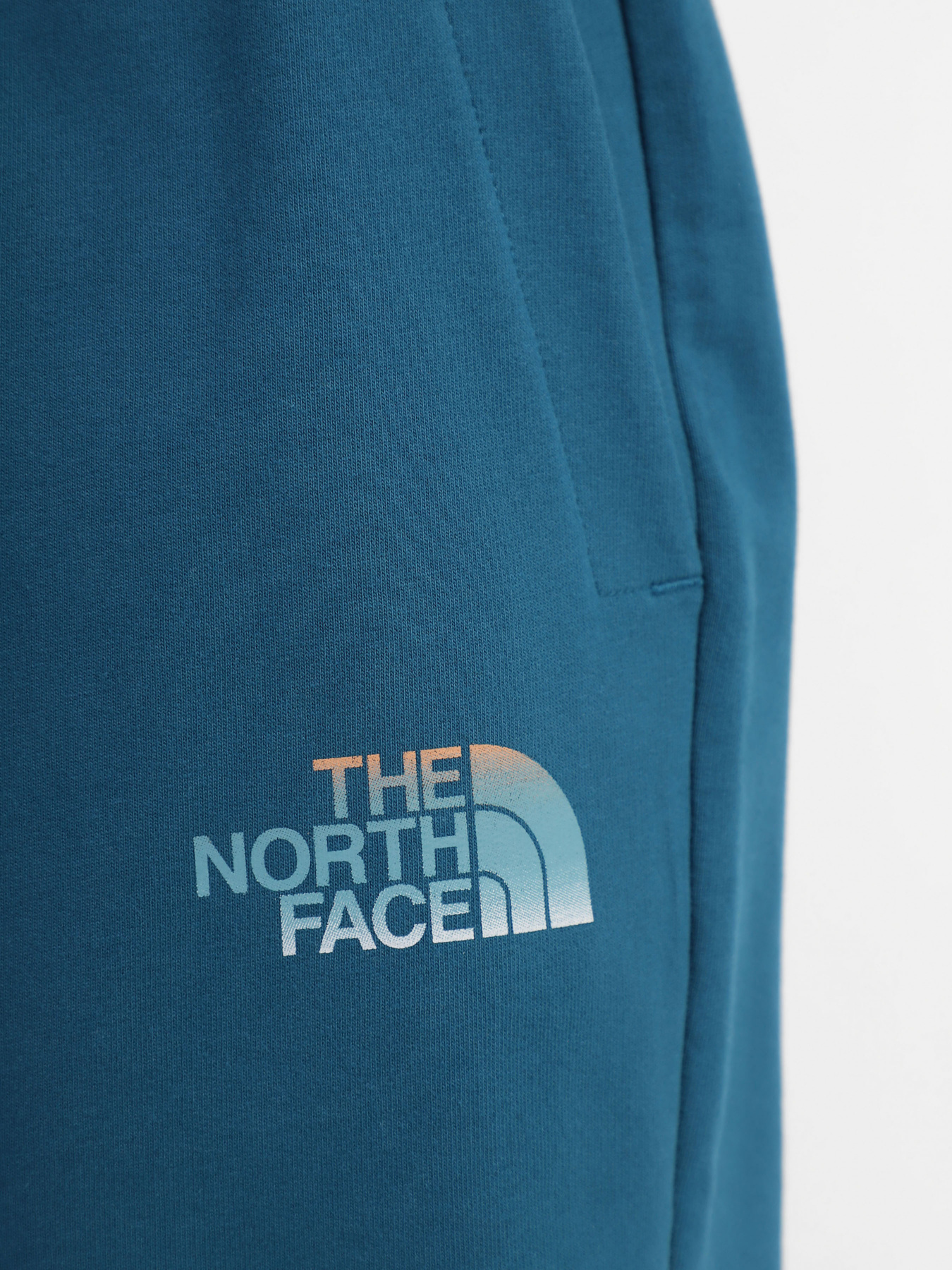 Шорты The North Face модель NF0A83FREFS1 Фото