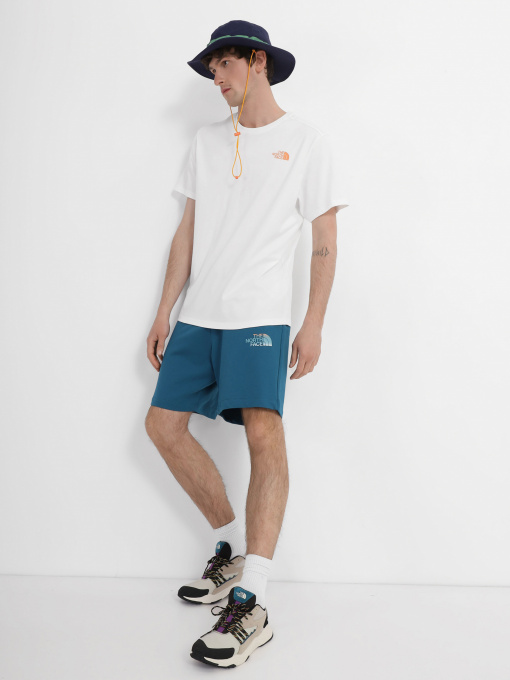 Шорты The North Face модель NF0A83FREFS1 Фото
