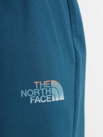 Шорты The North Face модель NF0A83FREFS1 Фото