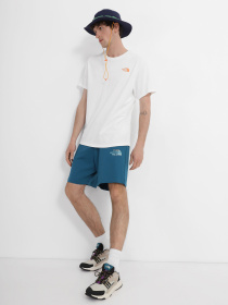 Шорты The North Face модель NF0A83FREFS1 Фото