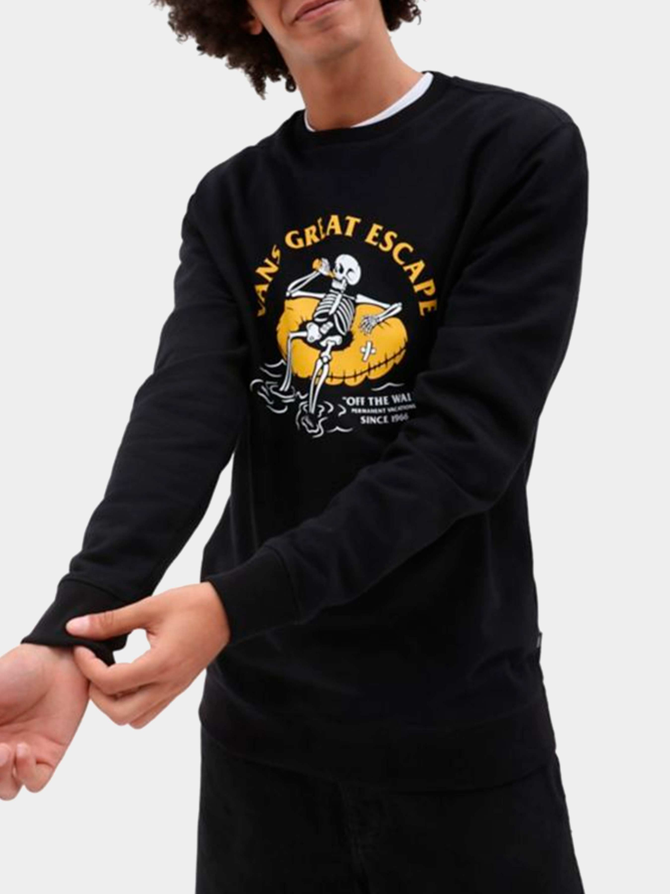 Худи и свитшоты Vans модель VN0006F0BLK1 Фото