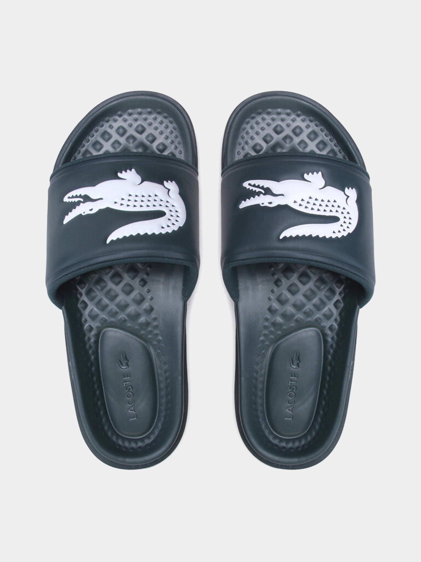 Шлёпанцы Lacoste модель 743CMA00202D2 Фото