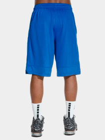 Шорты NIKE модель AJ3914-480 Фото