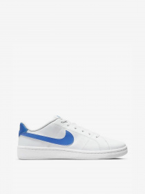 Кроссовки NIKE модель DH3160-103 Фото