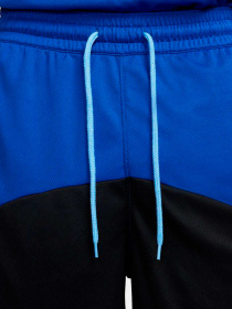 Шорты NIKE модель DQ5826-417 Фото