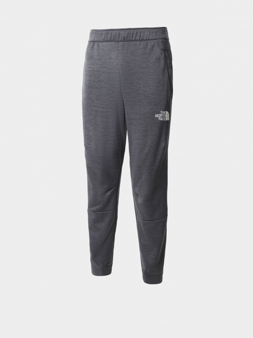 Брюки The North Face модель NF0A5IET5W01 Фото
