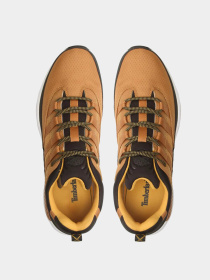 Кроссовки Timberland модель TB0A5VAZ231 Фото