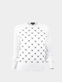 Худи и свитшоты Emporio Armani модель 6H2MTR-2M32Z-0100 Фото