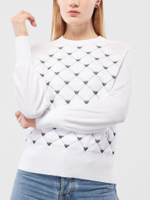 Худи и свитшоты Emporio Armani модель 6H2MTR-2M32Z-0100 Фото