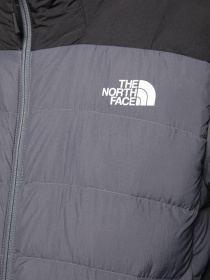 Куртки и дубленки The North Face модель NF00CYG91741 Фото