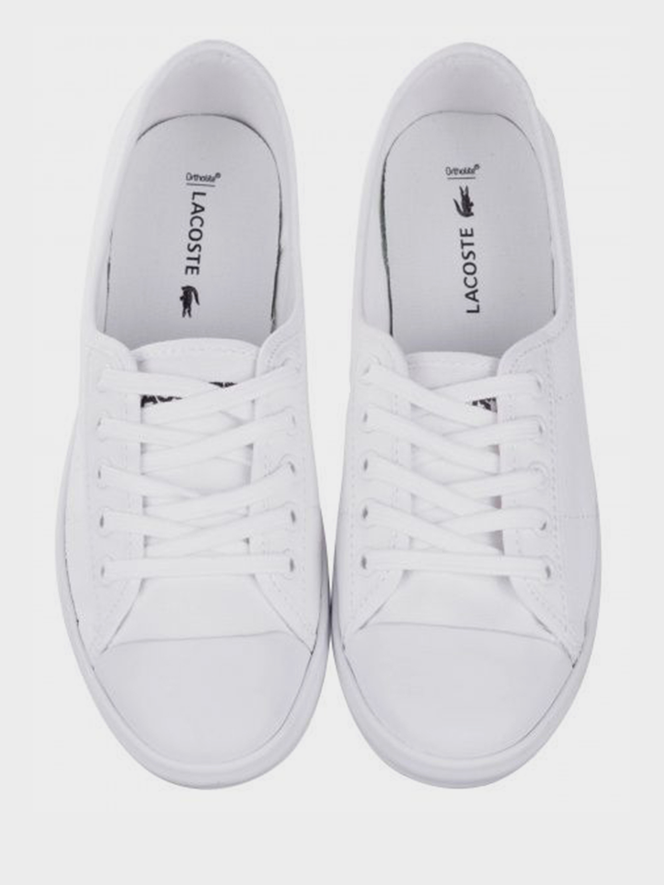 Кеды Lacoste модель 737CFA006621G Фото