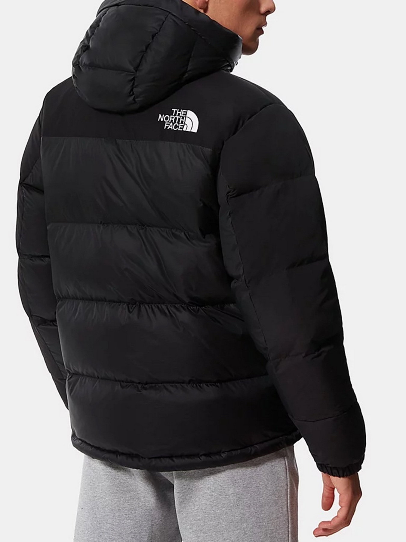 Куртки и дубленки The North Face модель NF0A4QYXJK31 Фото