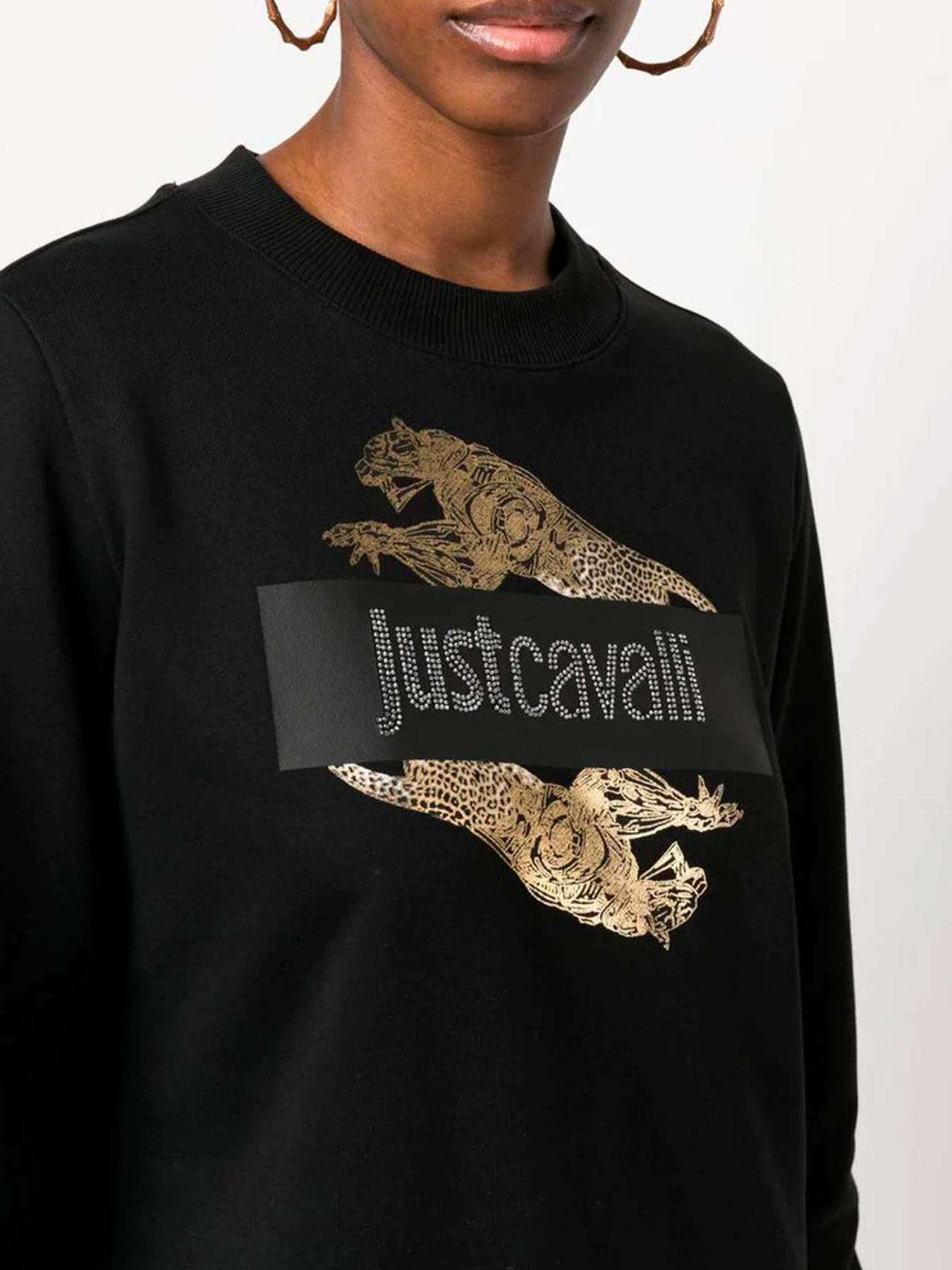 Худи и свитшоты Just Cavalli модель 74PBIF07-CJ200-G89 Фото