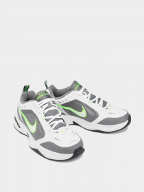 Кроссовки NIKE модель 415445-100 Фото