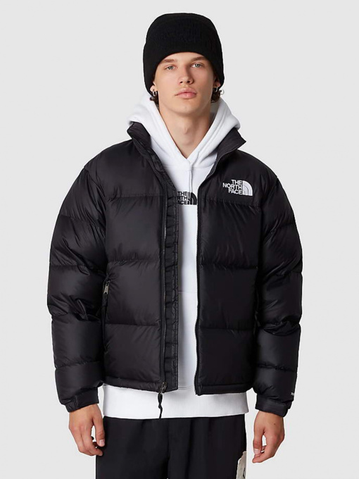 Куртки и дубленки The North Face модель NF0A3C8DLE41 Фото