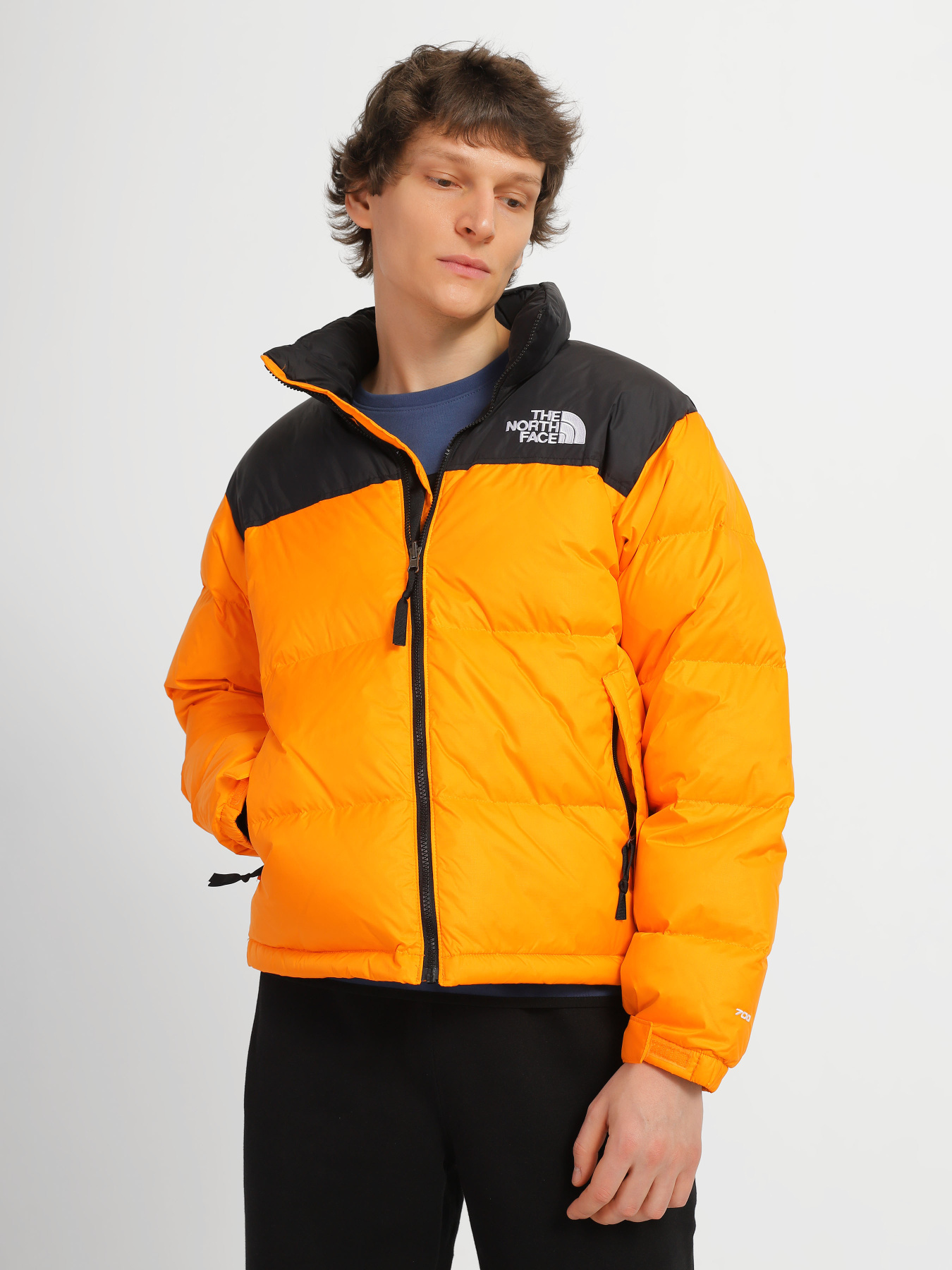 Куртки и дубленки The North Face модель NF0A3C8D78M1 Фото