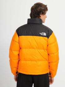 Куртки и дубленки The North Face модель NF0A3C8D78M1 Фото