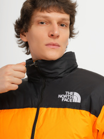 Куртки и дубленки The North Face модель NF0A3C8D78M1 Фото