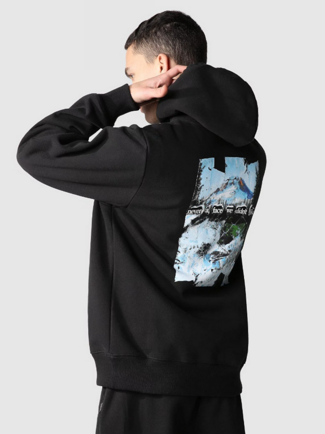 Худи и свитшоты The North Face модель NF0A7WTEJK31 Фото