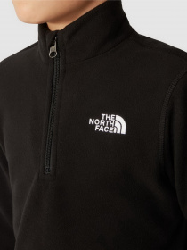 Худи и свитшоты The North Face модель NF0A7X3QJK31 Фото