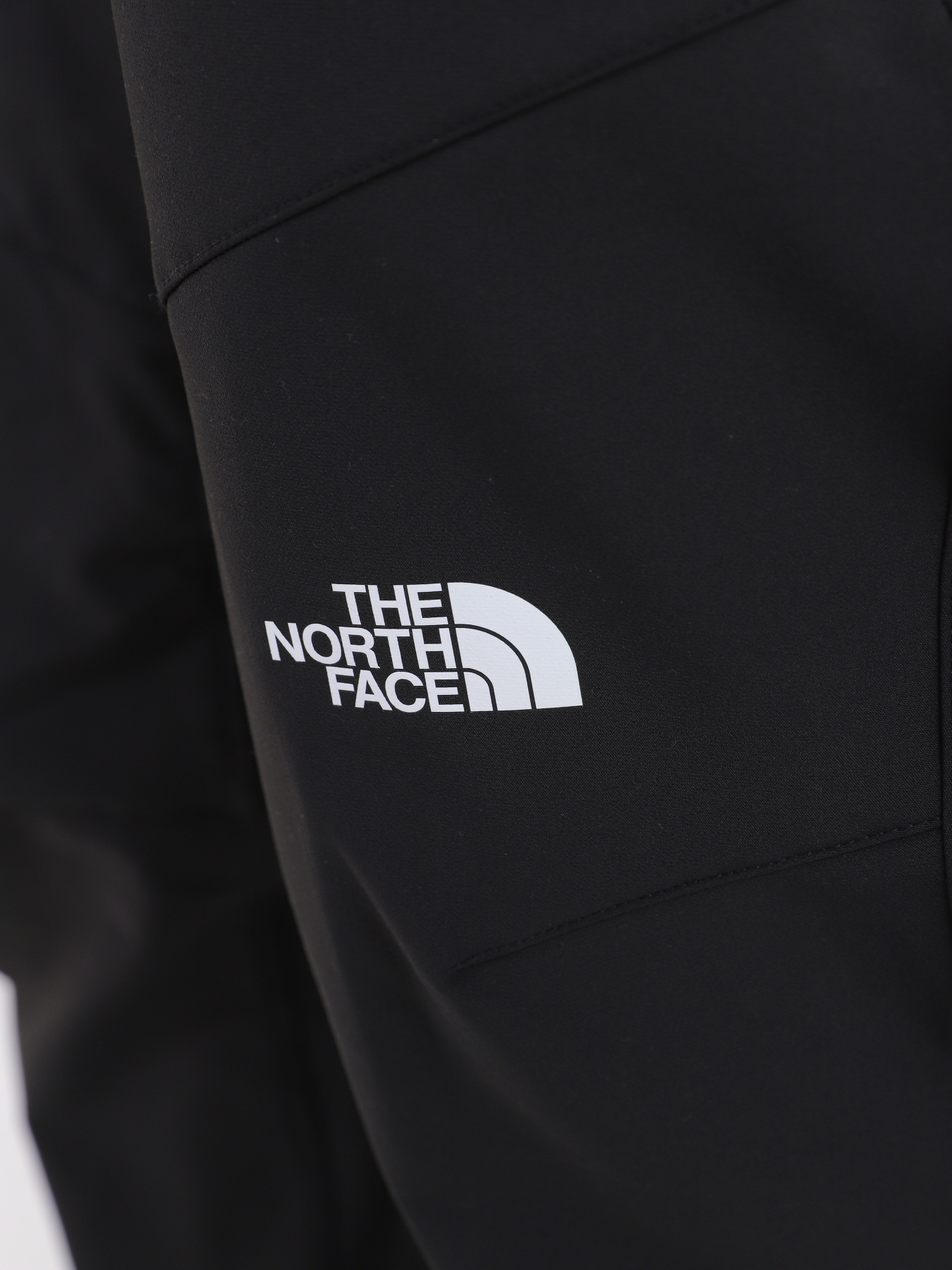 Брюки The North Face модель NF0A7X6DJK31 Фото