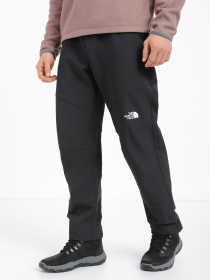Брюки The North Face модель NF0A7X6DJK31 Фото