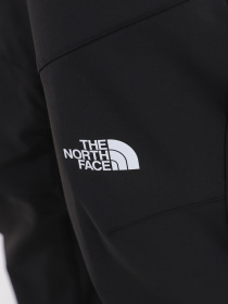 Брюки The North Face модель NF0A7X6DJK31 Фото