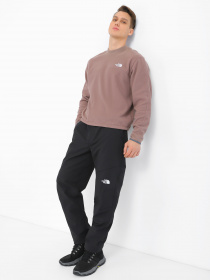 Брюки The North Face модель NF0A7X6DJK31 Фото
