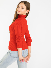 Худи и свитшоты Reporter Young модель 223-0770G-03-680-1 Фото
