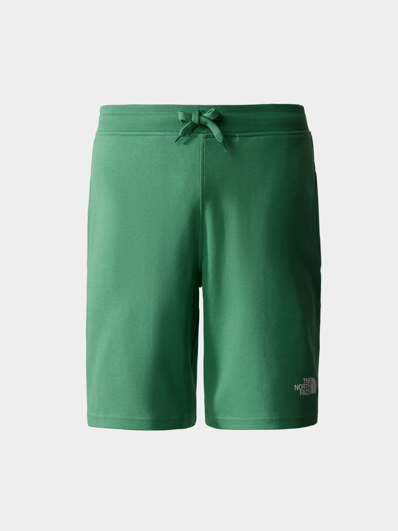 Шорты The North Face модель NF0A3S4FN111 Фото