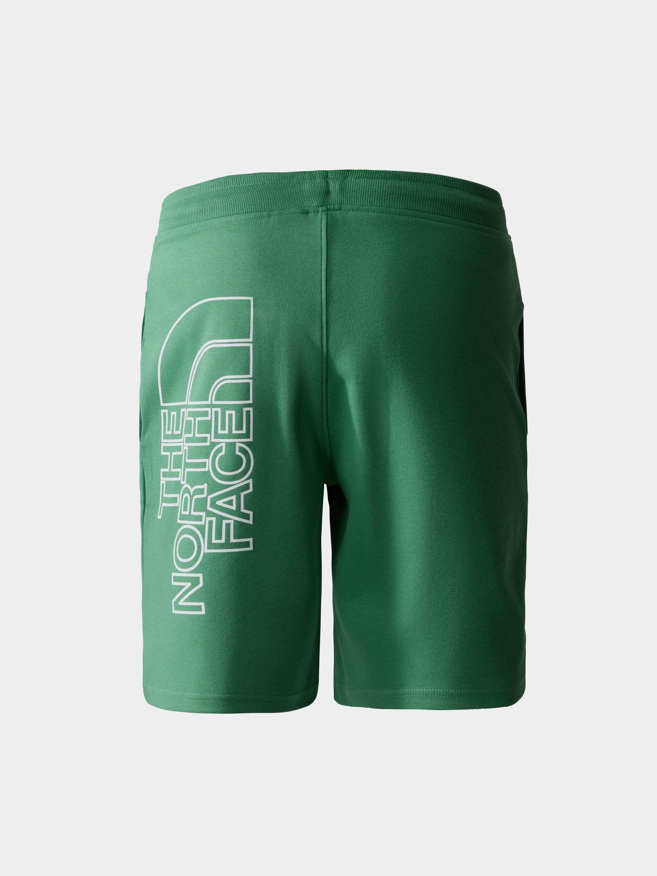 Шорты The North Face модель NF0A3S4FN111 Фото