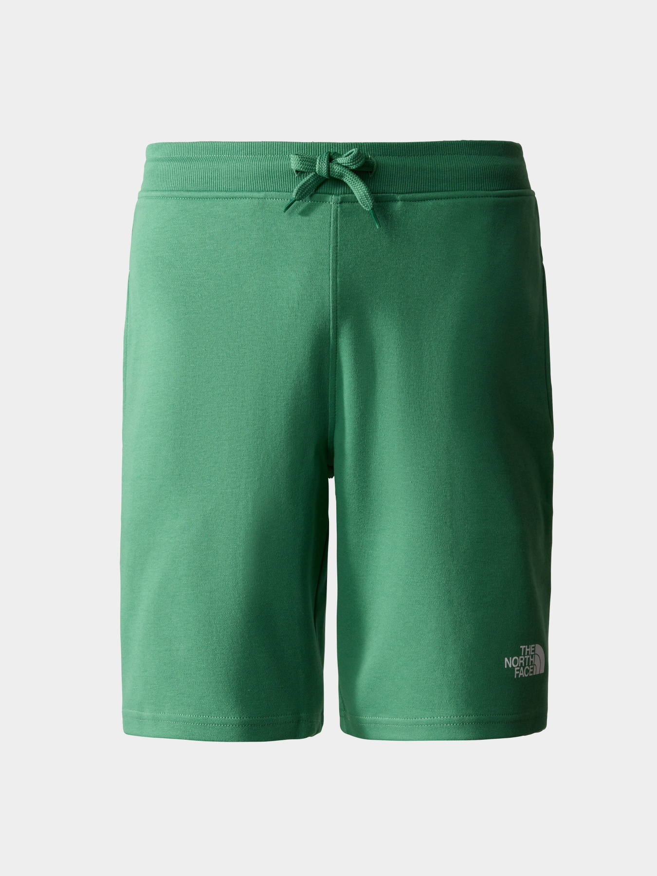 Шорты The North Face модель NF0A3S4FN111 Фото