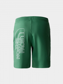 Шорты The North Face модель NF0A3S4FN111 Фото
