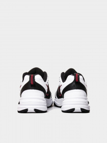 Кроссовки NIKE модель 415445-101 Фото