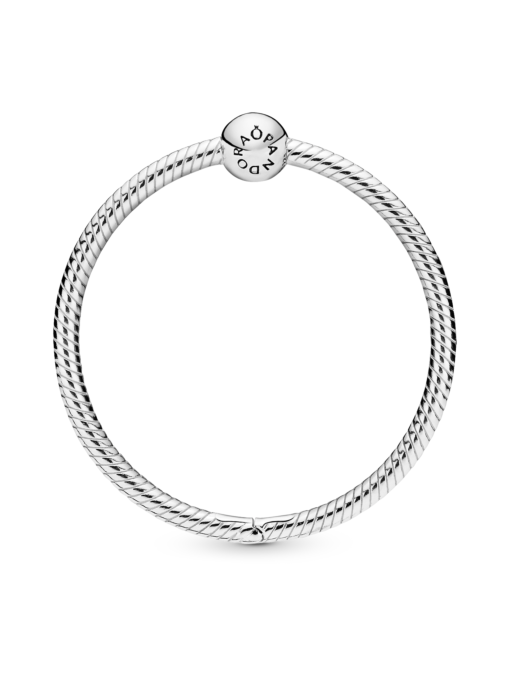 Подвески PANDORA Moments модель 398576C00 Фото