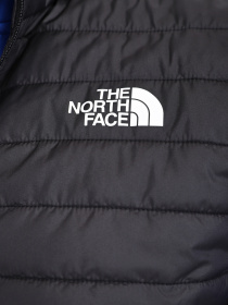 Куртки и дубленки The North Face модель NF0A7UJJJK31 Фото