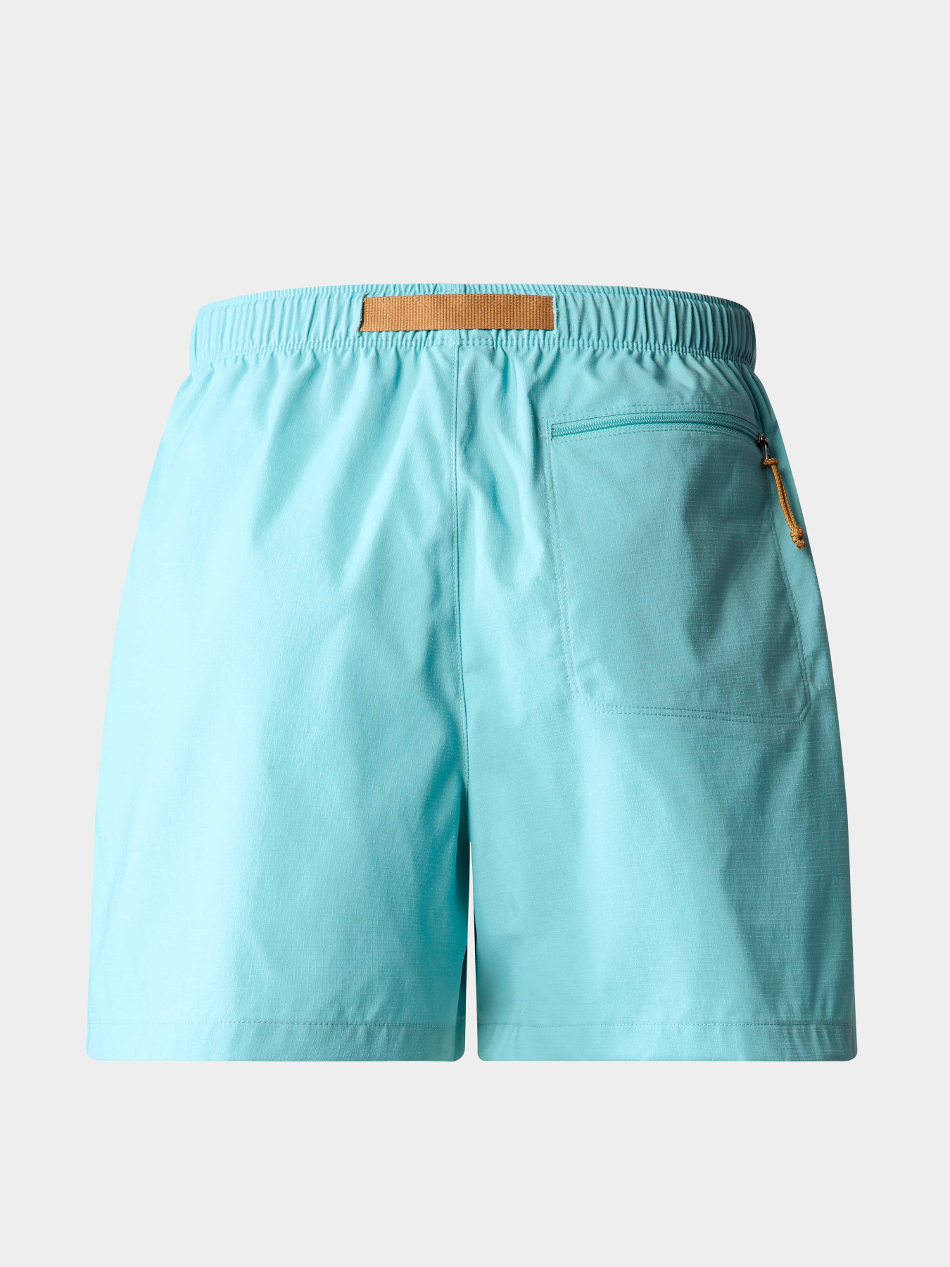 Шорты The North Face модель NF0A81VWLV21 Фото