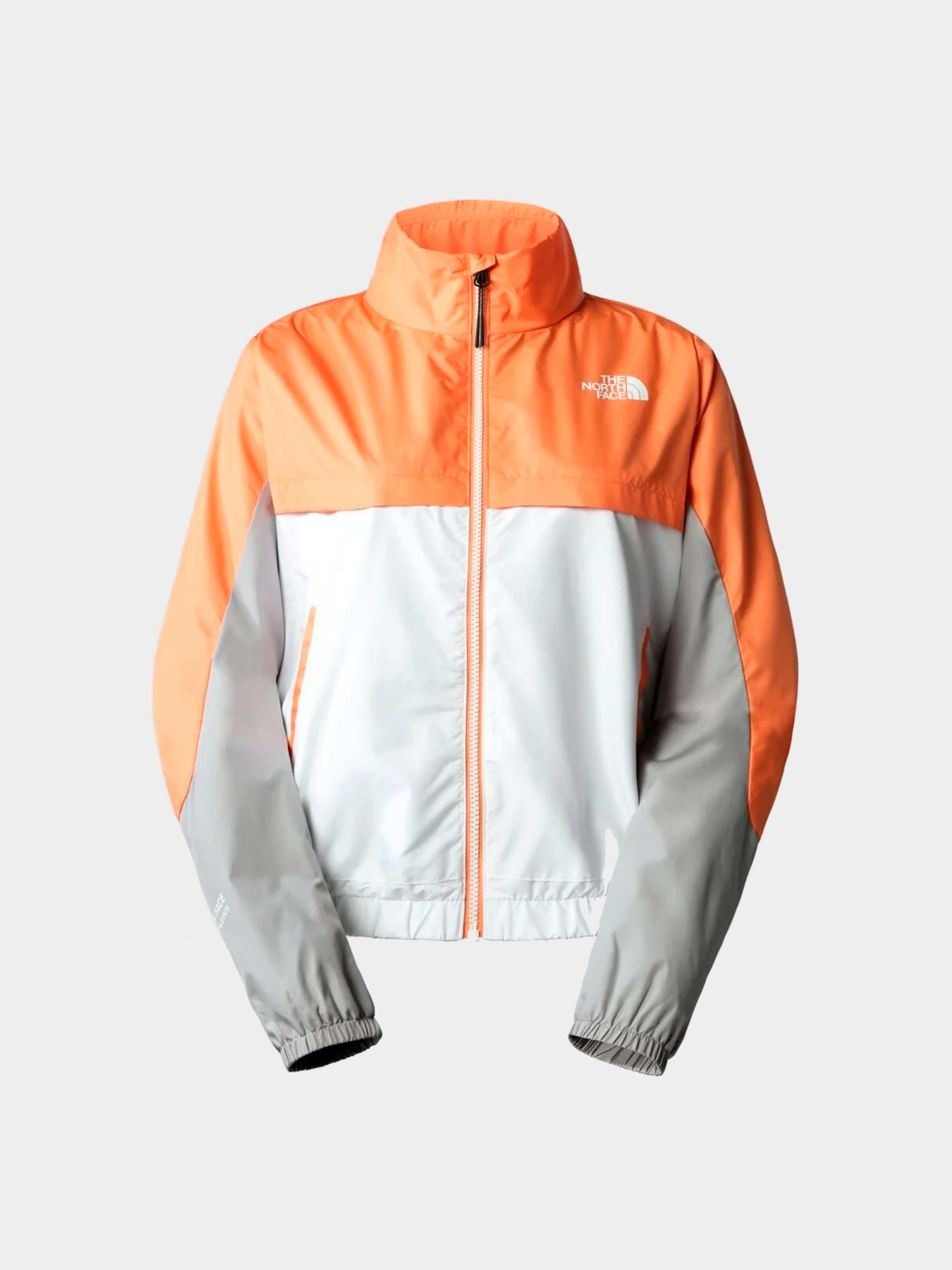 Куртки и дубленки The North Face модель NF0A825DIKE1 Фото