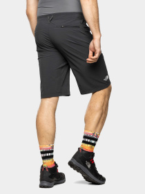 Шорты The North Face модель NF0A82690C51 Фото