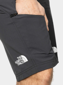 Шорты The North Face модель NF0A82690C51 Фото